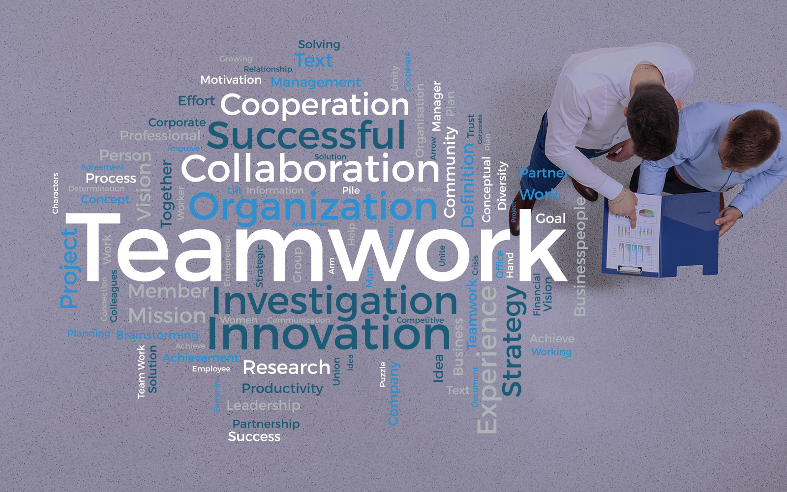 Our Team