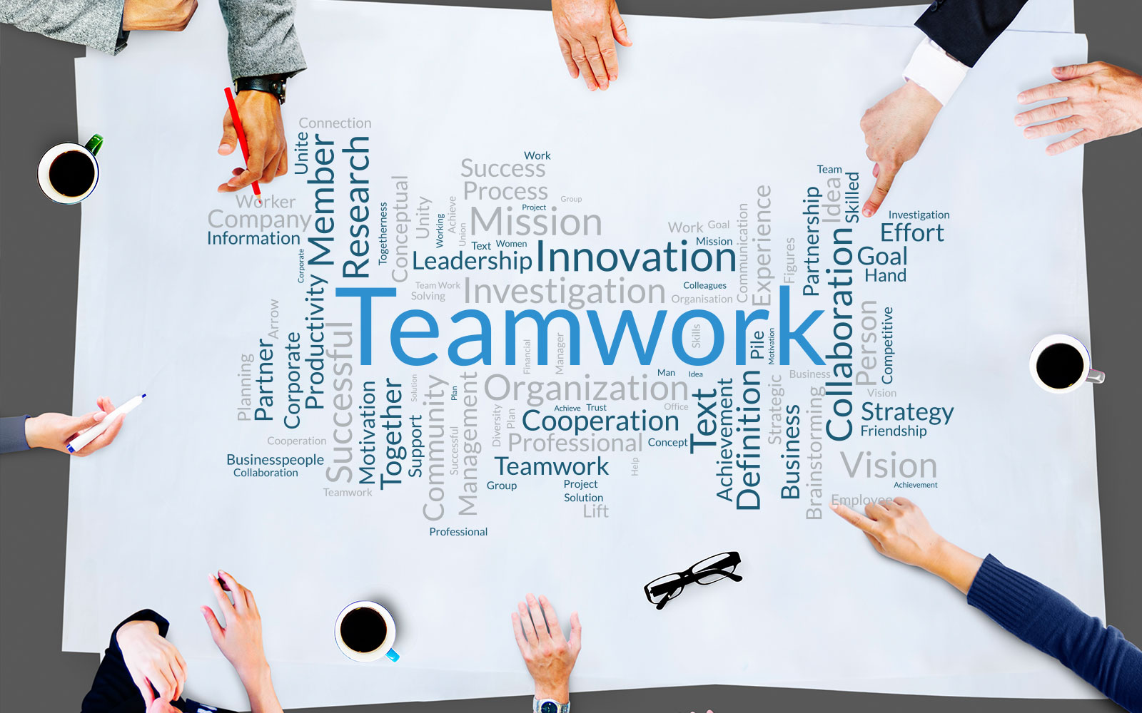 Our Team