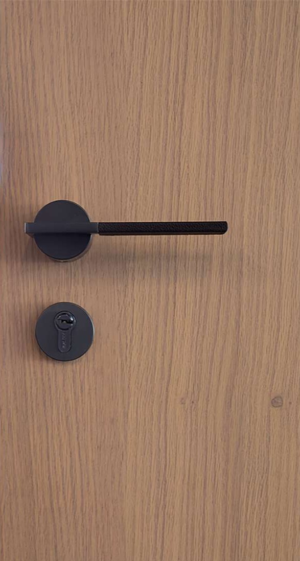 Modern Door Handles