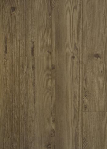 DRY CEDAR DRY CEDAR