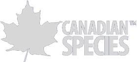 Canadian Species
